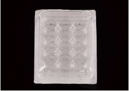 NEST 6 Well Low Evap EDGE Plate, Flat Bottom, Non-Treated, STERILE, 1/pk, 50/Box