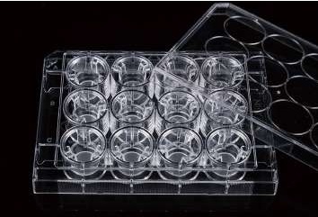 NEST 12 Cell Culture Inserts+24 Well Plate, 0.4 μm, PC Membrane, Non-Treated, STERILE, 12/pk, 120/Box