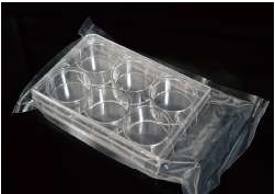 NEST 48 Well Cell Culture Plate, Flat, TC, Sterile, Individually plastic wrapped, 1/pk, 50/Box