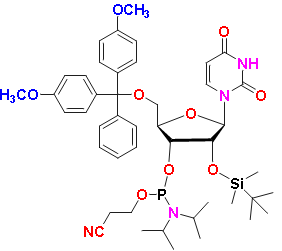 5'-DMT-2'O-TBDMS-rU Phosphoramidite, CAS # 118362-03-1, MF: C45H61N4O9PSi, MW: 861.05, 98%