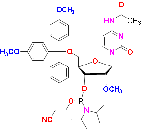 N-Acetyl-5'-O-(4,4-dimethoxytrityl)-2'-O-methylcytidine-3'-(2-cyanoethyl-N,N-diisopropyl)phosphoramidite, CAS # 199593-09-4, MF: C42H52N5O9P, MW: 801.86, 98%